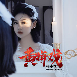 黄梅戏-张小花