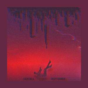 Skyfall / Way Down (feat. ItzCaution) (Explicit)