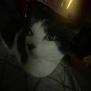 overthinking (Explicit)