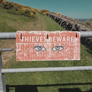 branch.subway.violinist