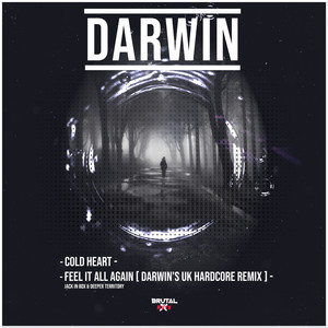 Feel It All Again (Darwin Remix)