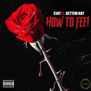 How to Feel (feat. GettemKay) (Explicit)