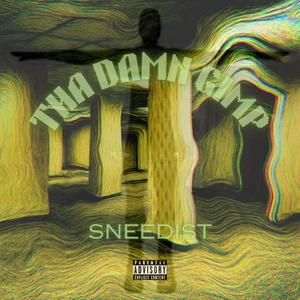 SAY SUM (feat. Vain708) (Explicit)