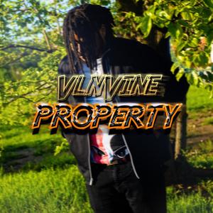 Property (Explicit)