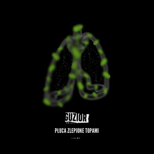 Płuca zlepione topami (Explicit)