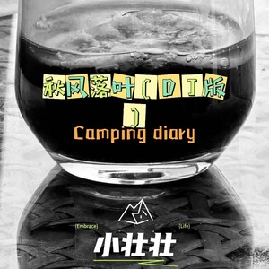 秋风落叶 (DJ版)