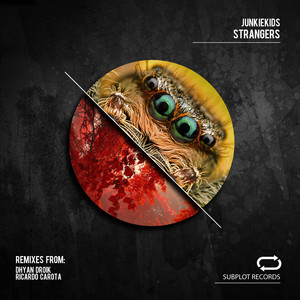 Strangers (Ricardo Carota Remix)