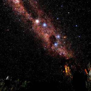 Firefly Dance