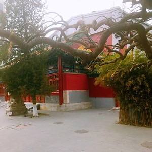 霓裳羽衣歌 (Live)