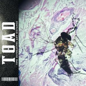 BURNING SKIES (feat. Rap Man Gavin) (Explicit)