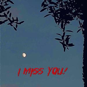 I MISS YOU! (Explicit)