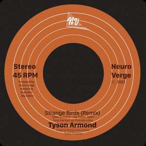 Strange Birds (Neuro Verge Remix)