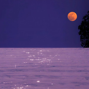 我的歌声里 (34秒片段)