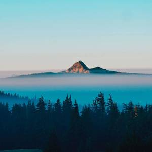 空山新雨后 (翻自 音阙诗听)