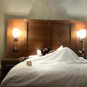 HOE MY GOD (feat. BigBody Jerm) (Explicit)