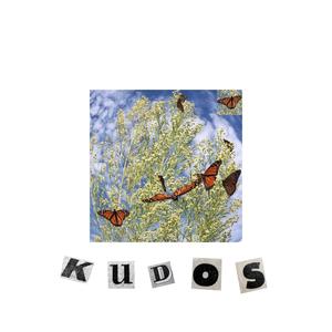 Kudos