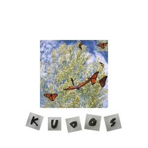 Kudos (Explicit)