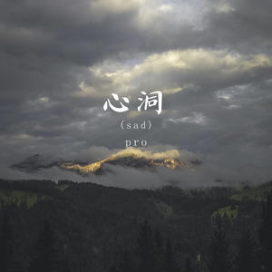 心洞 (sad)封面