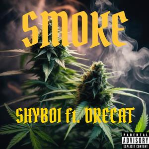SMOKE (feat. DRECAT) (Explicit)