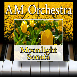Moonlight Sonata - I. Adagio sostenuto (月光奏鸣曲 - 第一乐章 绵延的柔板)