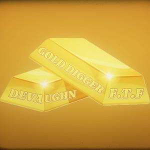 GOLD DIGGER (Explicit)