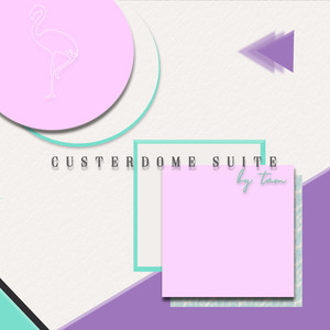 Custerdome Suite