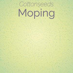 Cottonseeds Moping