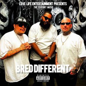 Bred Different (feat. JokesLovesLife) (Explicit)