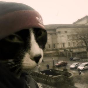 Jeden Tag (Explicit)
