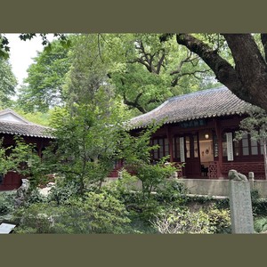 某天离开这一座城