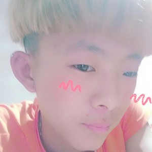 扬鞭策马踏轮回