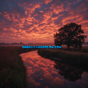 EMBRAZAMENTO DA CRM (Explicit)