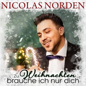 Zu Weihnachten brauche ich nur dich