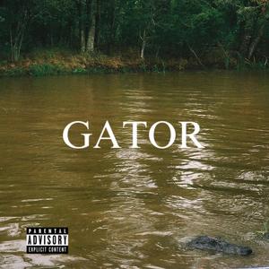 GATOR (Explicit)