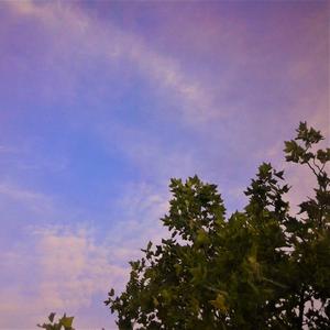 crazy little reject (Explicit)