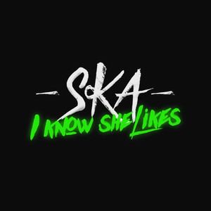 She Likes (Explicit)