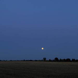 you (feat. mak archive) (Explicit)