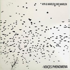 VOICES PHENOMENA (Explicit)