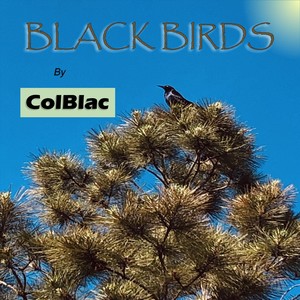 Black Birds