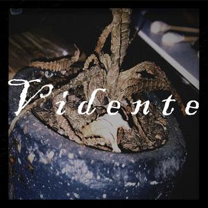 Vidente (feat. Luandro & El Lokillo)