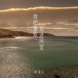 我把喜欢写进风里