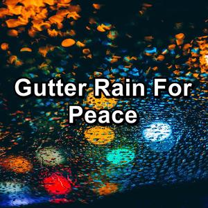 Calm Rain with Nature Music with Sleeping Music