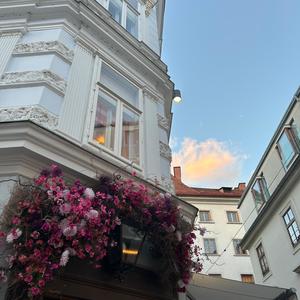 sommerlove (Explicit)