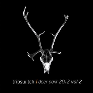 Deer Park (Joey Fehrenbach Remix)