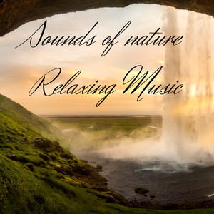 SOUNDS OF NATURE RELAXING MUSIC