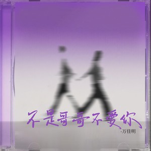 不是哥哥不爱你