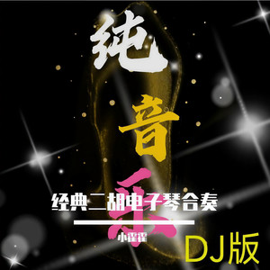 中国大舞台 (二胡合奏版)