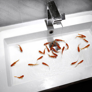 Realistic (Instrumental)