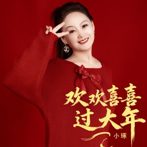 欢欢喜喜过大年封面