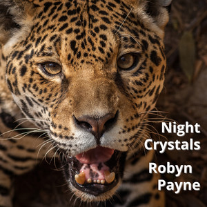 Night Crystals